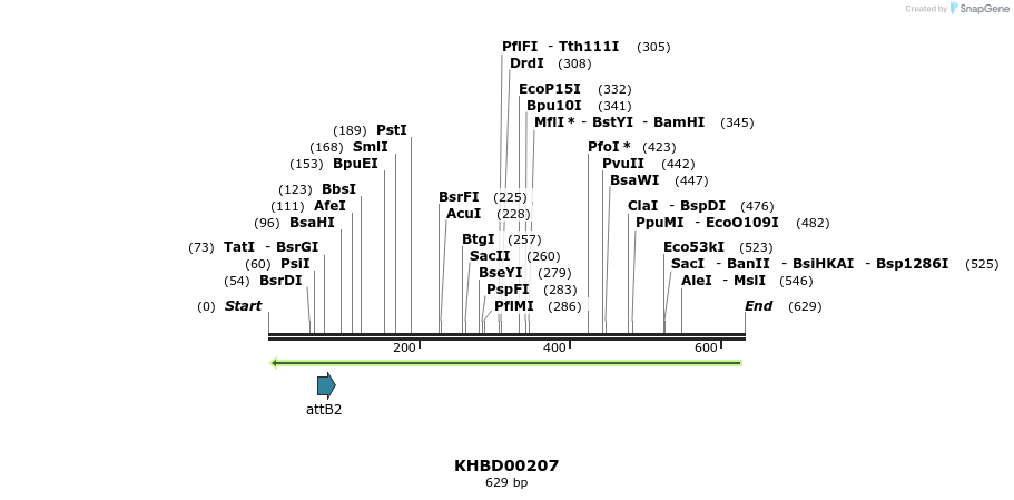 42056_map