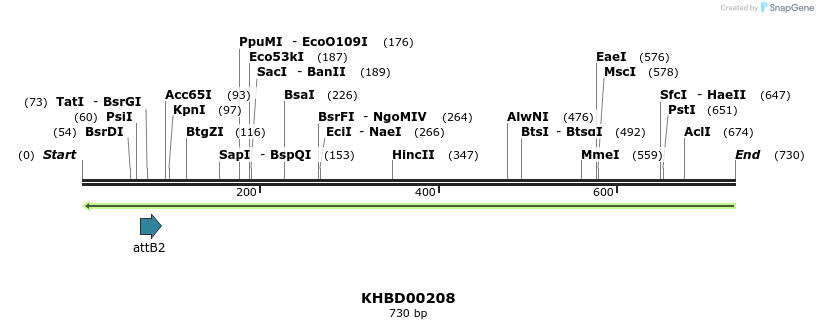 42057_map