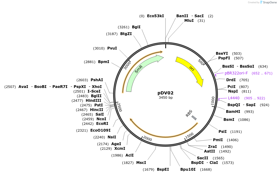 420603_map