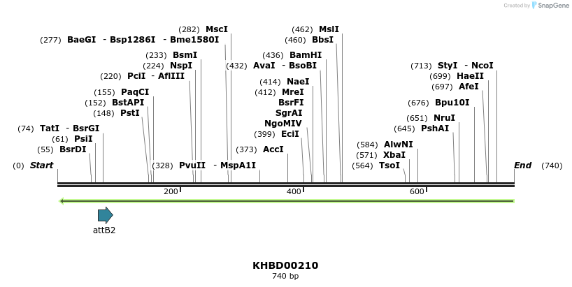 42061_map