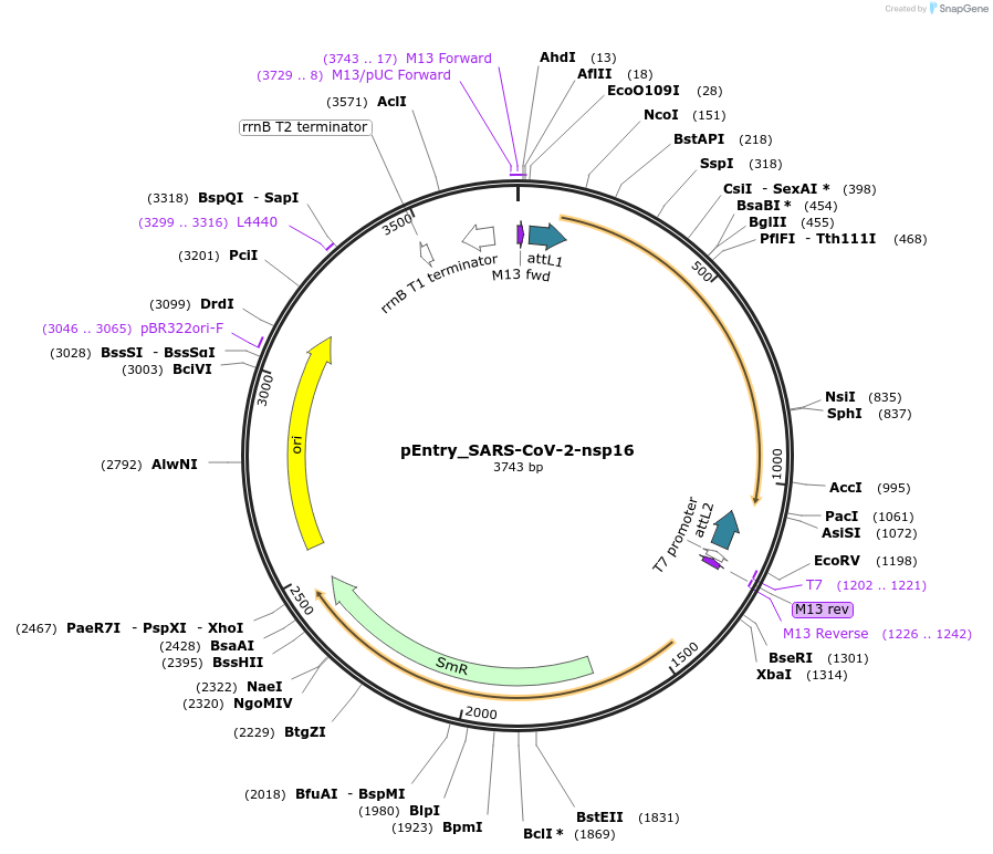 420612_map