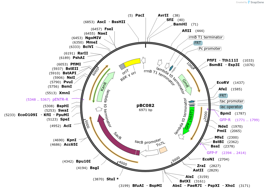 420619_map