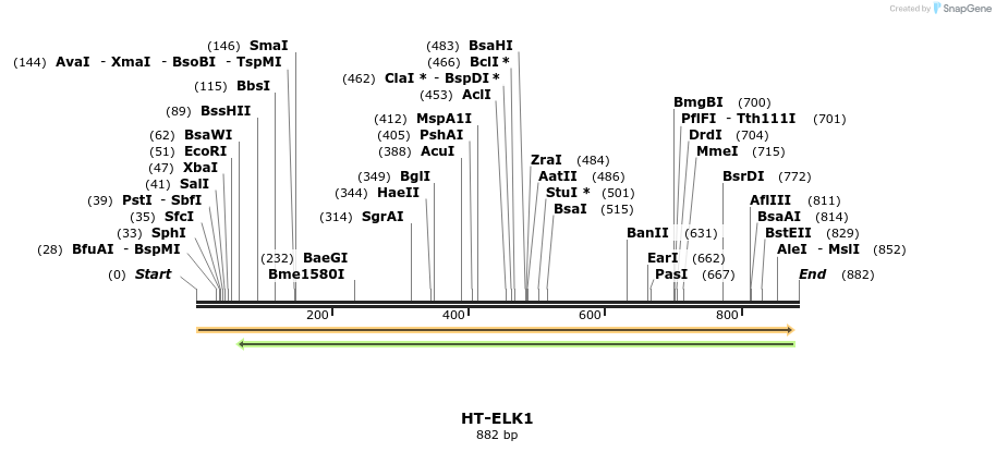 42062_map