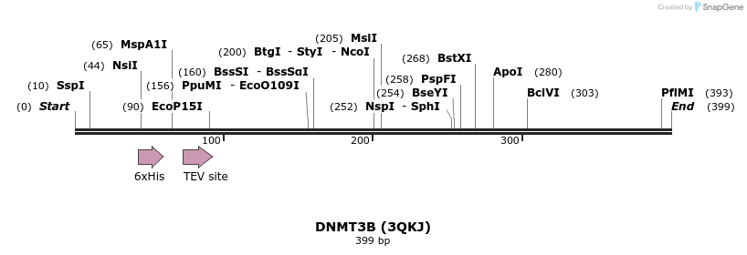 42065_map