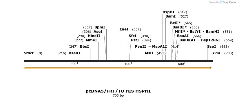 42066_map