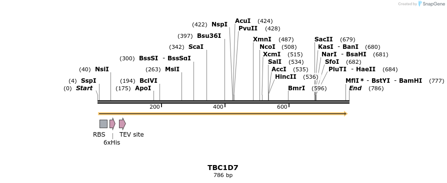 42068_map