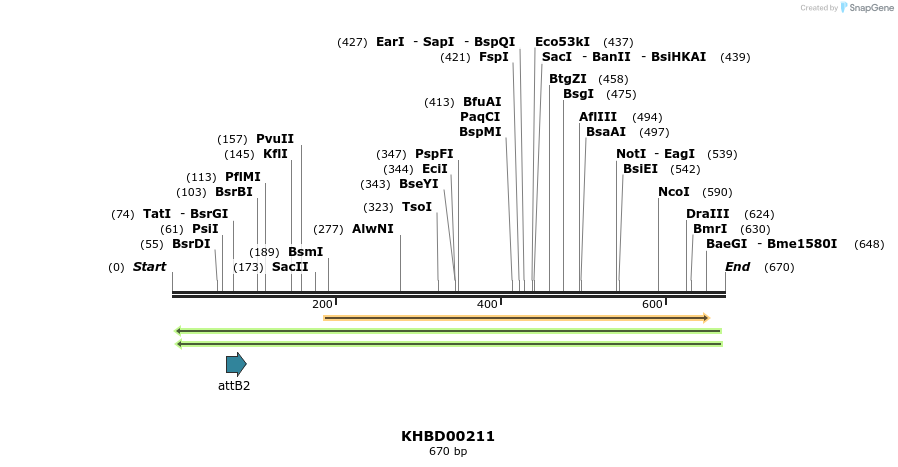 42069_map