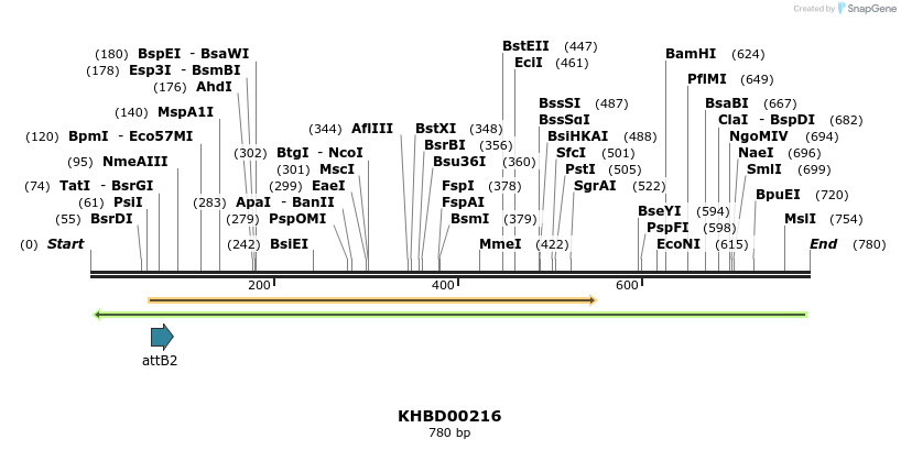42071_map