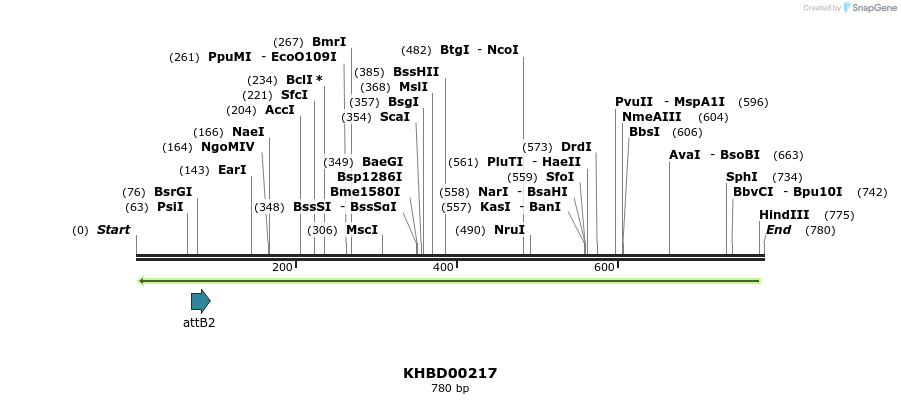 42072_map