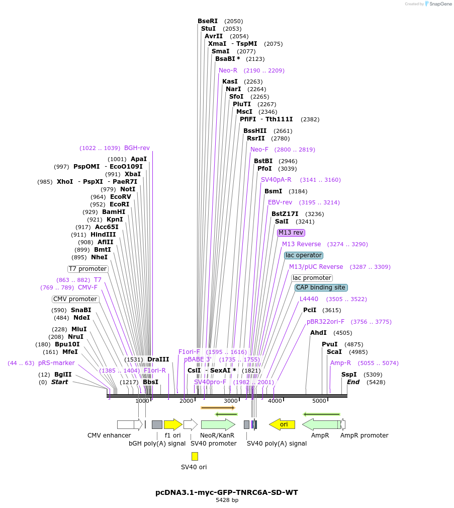 420729_map