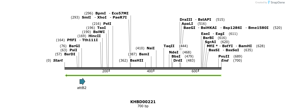 42078_map