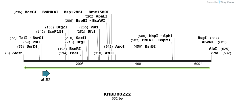 42079_map