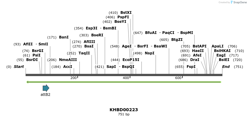 42080_map
