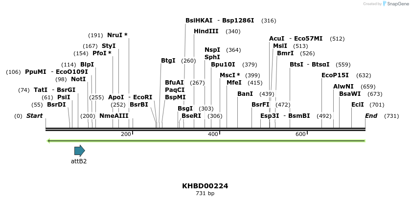 42081_map