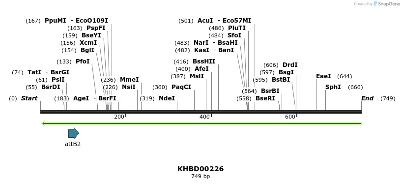 42082_map