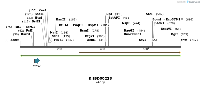 42083_map