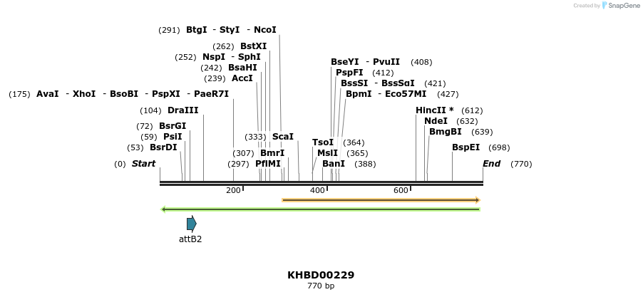 42084_map
