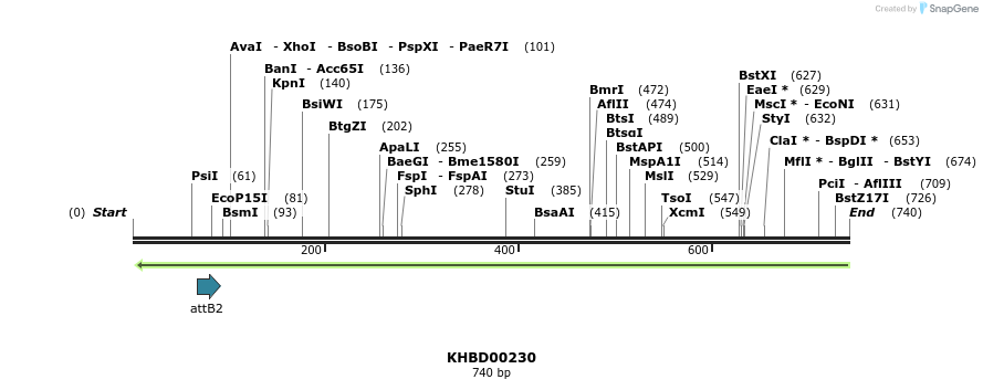 42085_map