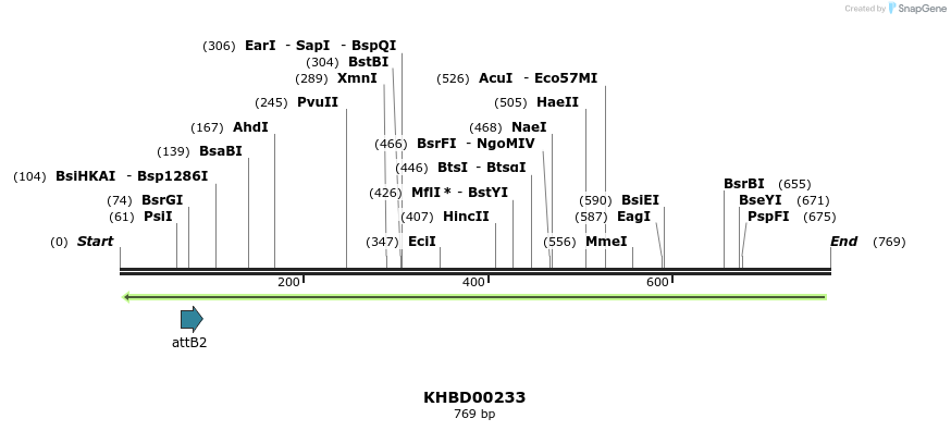 42086_map