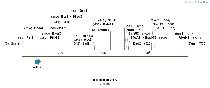 42087_map