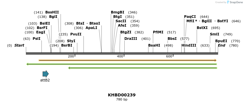 42088_map
