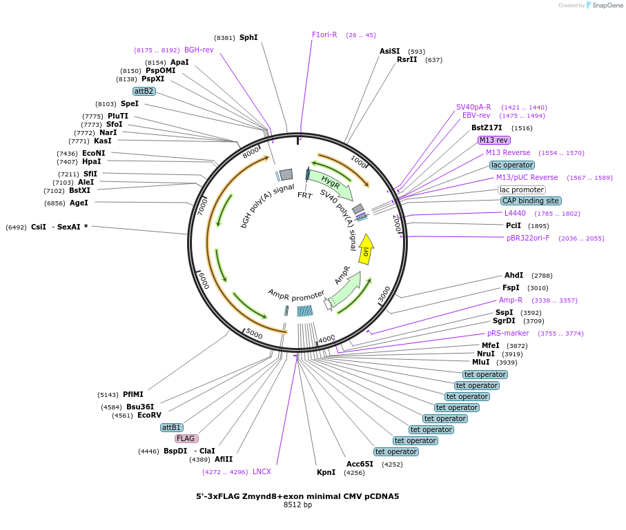 420919_map