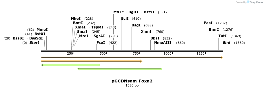 42096_map