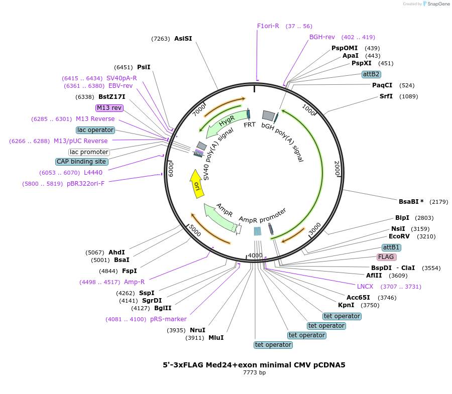 421012_map