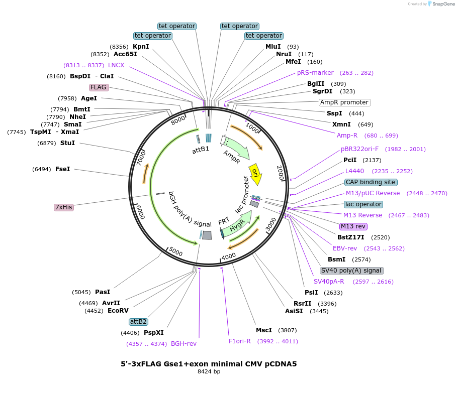 421016_map