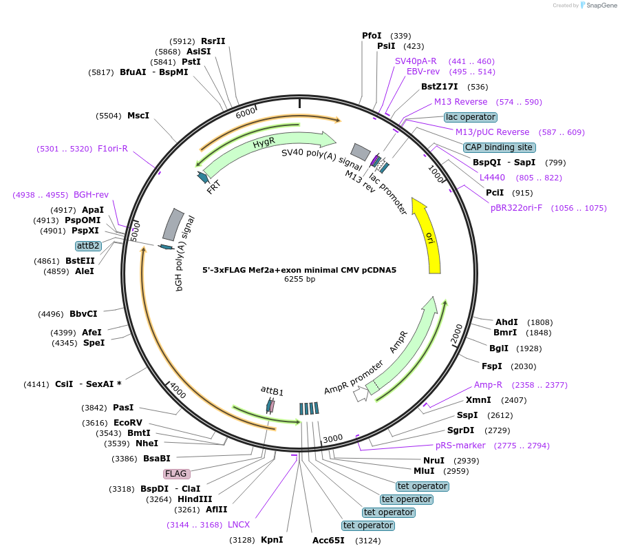 421020_map