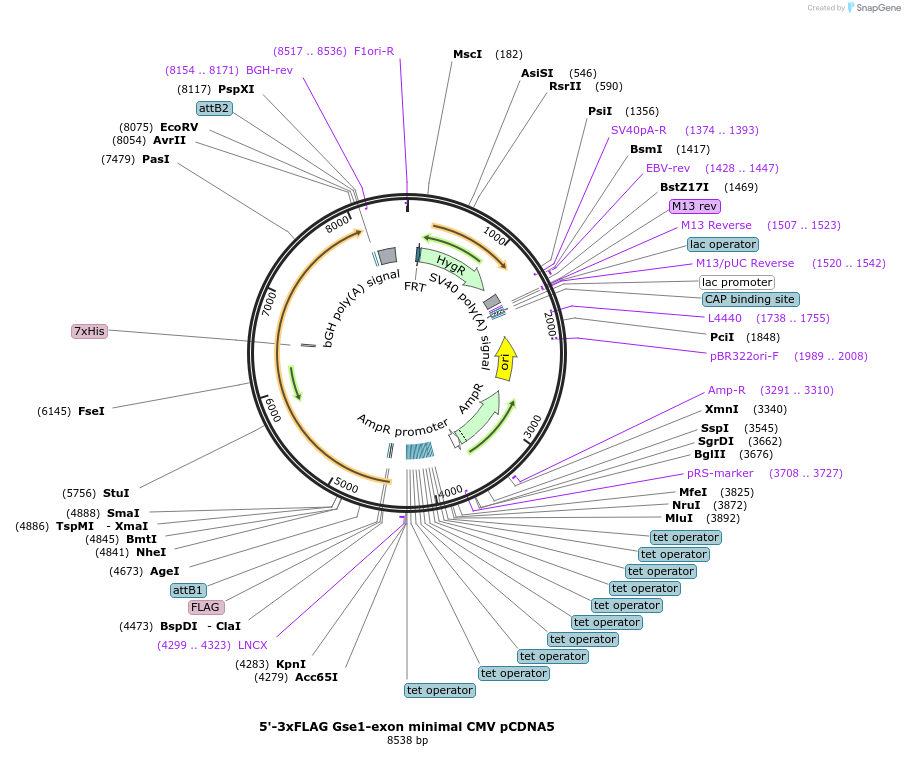 421023_map