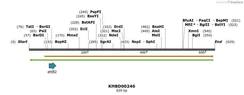 42103_map