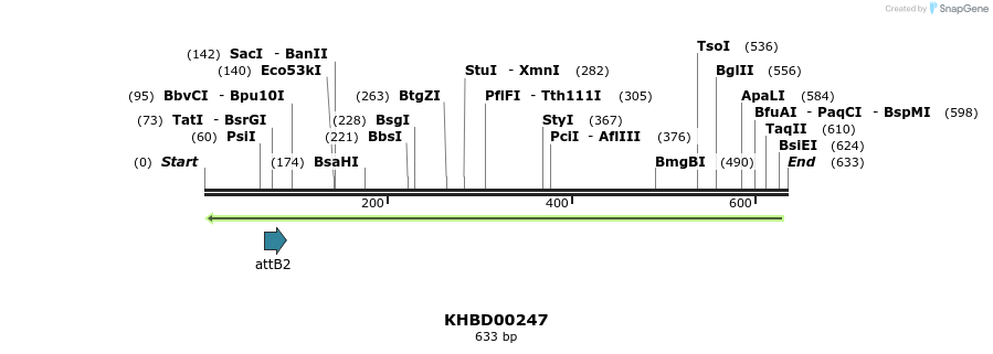 42104_map
