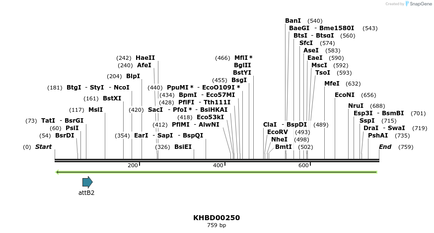 42105_map