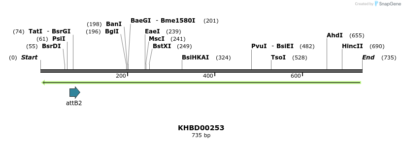 42107_map