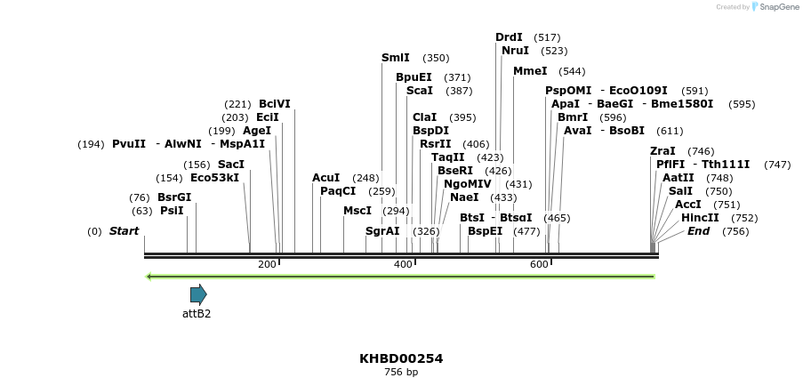 42109_map