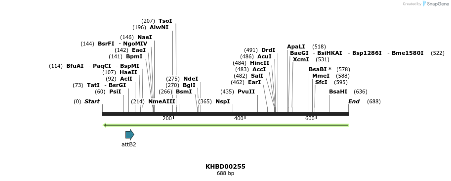 42110_map