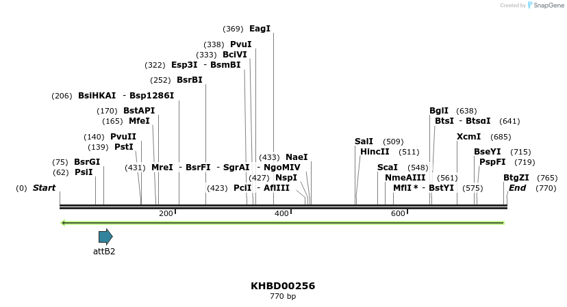 42111_map