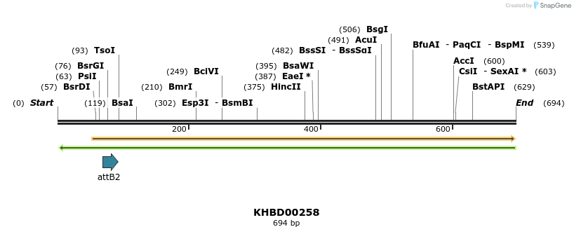 42113_map