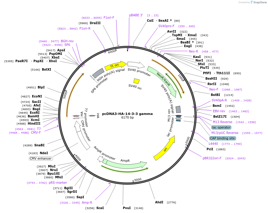 421141_map