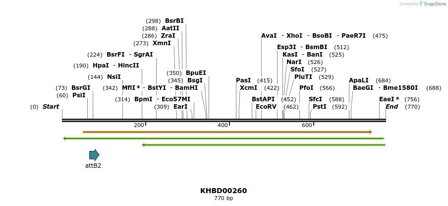 42115_map