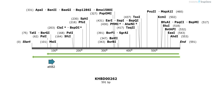 42116_map