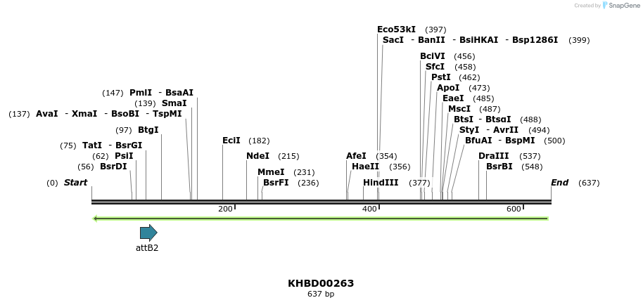 42117_map