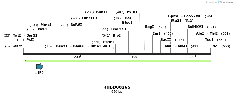 42119_map
