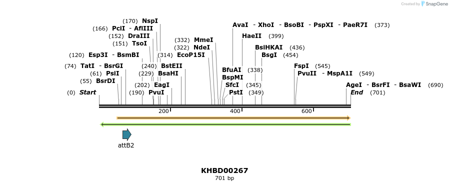 42120_map