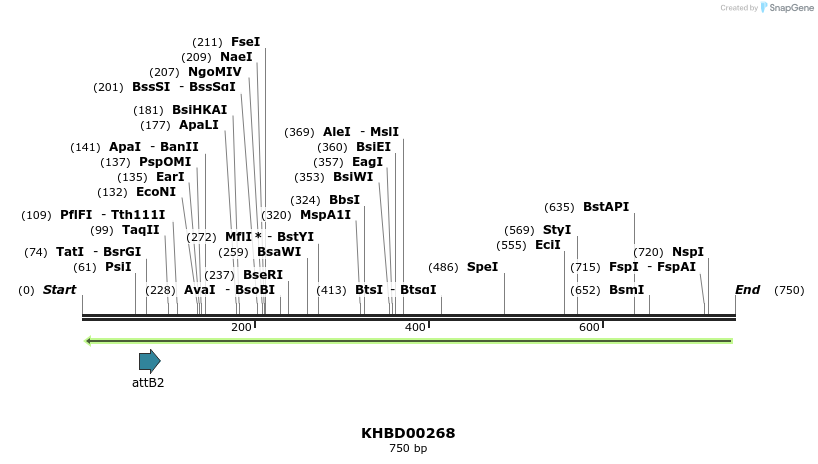 42121_map