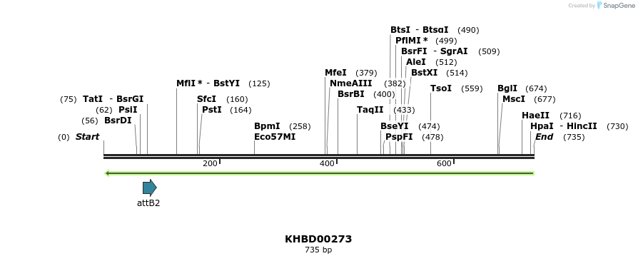 42124_map