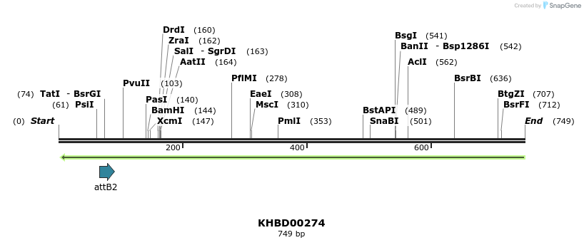 42125_map