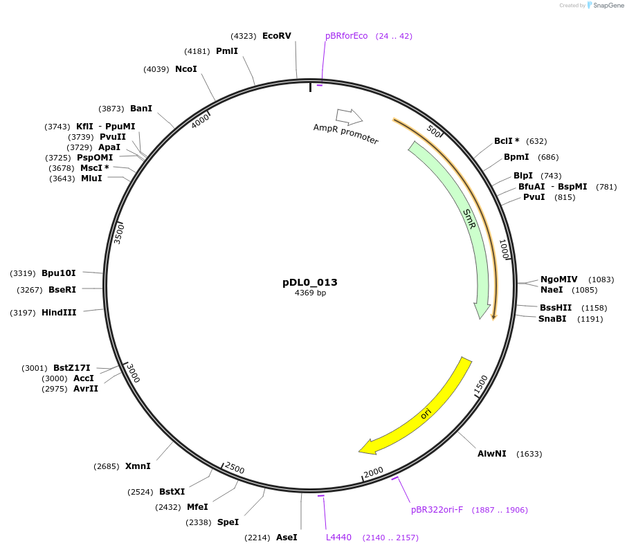 421259_map