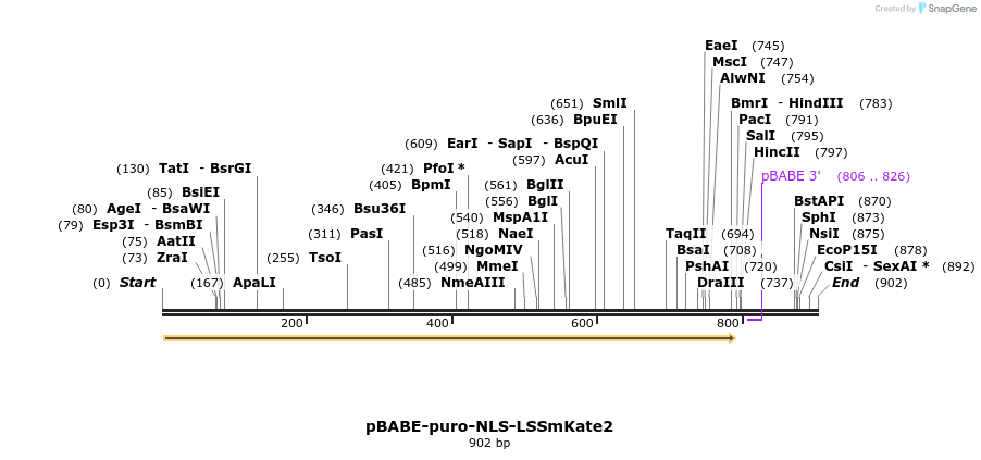 42126_map